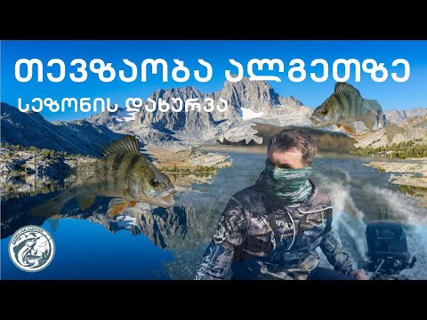 საშემოდგომო თევზაობა ალგეთზე